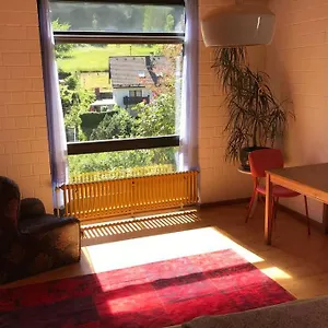 Exklusive Miro 25 M² In Ruhiger Lage , Heidelberg Deutschland